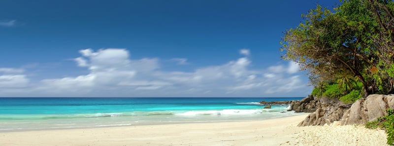 Beachfront Bliss